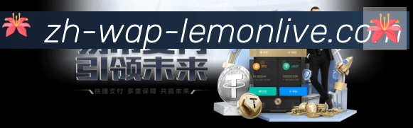 未来规划